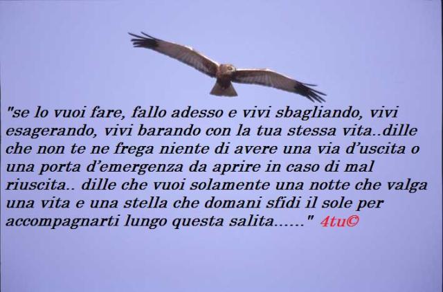 le più belle frasi sulla libertà