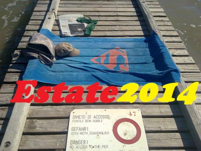 immagini estate 2014 bellissime belle foto