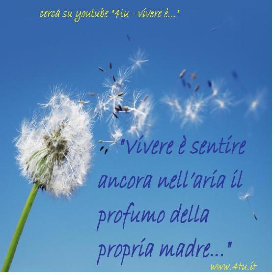 immagini sfondi sulla vita,foto con scritte sulla vita, archivio foto sulla vita