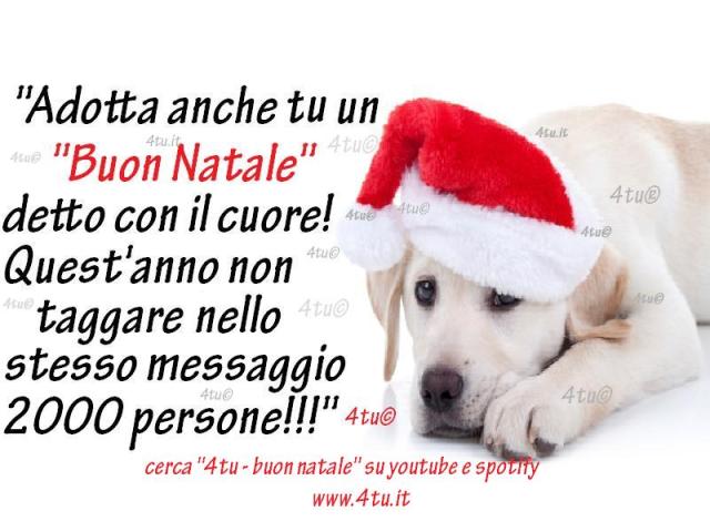 buon natale buon 2015