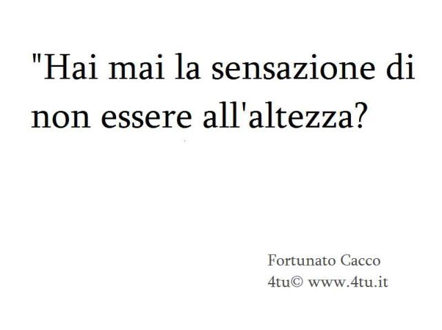 immagine-4-copia-copia