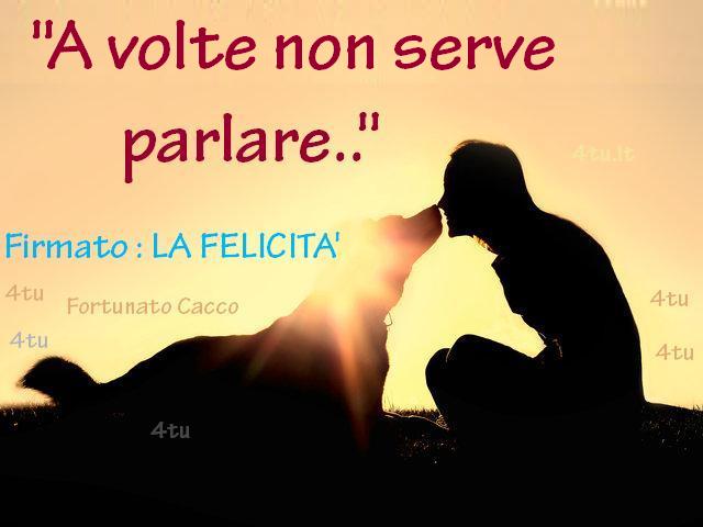 Happy Woman and Dog Outside Silhouette