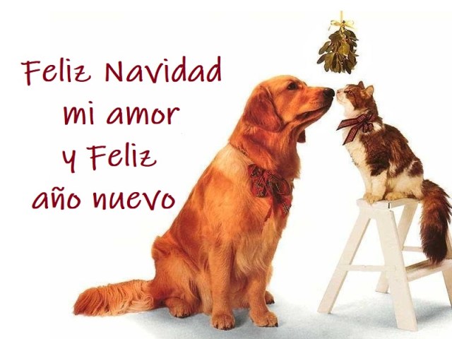 per scrivere - Copia - Copia (3) - Copia